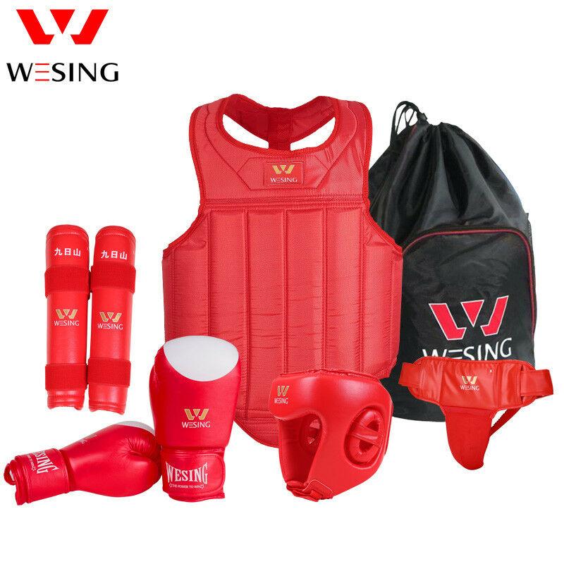 Wesing Boxing Kit